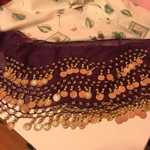 Purple Coin Skirt/Belt